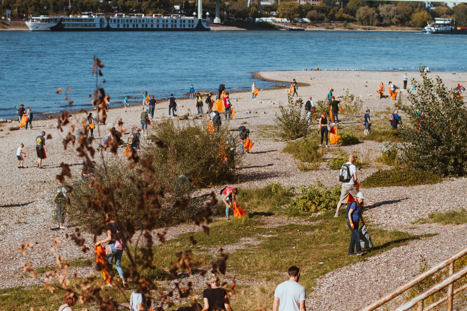 Freiwillige Helfer sammeln Müll am Ufer des Rheins.