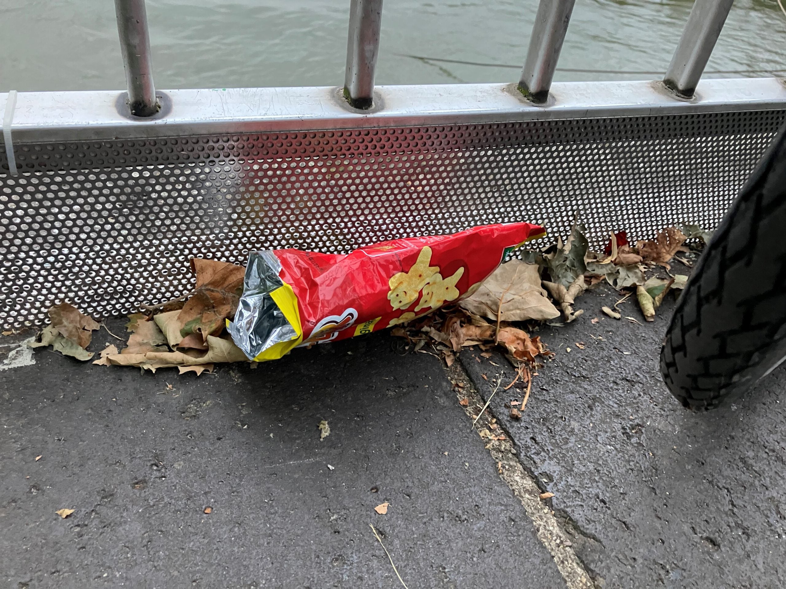 Der Müllstopper an der Uferprommenade hält eine Chipstüte davon ab in den Rhein zu fallen.