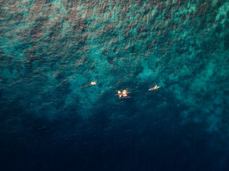 Pro Ocean x Nø Cosmetics